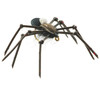 Umpqua Sparkys Floating Spider Black Size 10 2 Pack