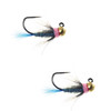 Umpqua Eagas Tungsten Dart Blue 2 Pack