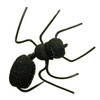 Umpqua Ant Misbehavin Black 2 Pack