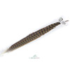 Hareline Ringneck Pheasant Tail Feathers