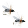 Umpqua Foam Flying Ant Black Terrestrials 2 Pack