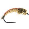 Umpqua Egans Gti Caddis Amber 2 Pack