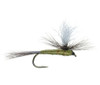 Umpqua Parachute BWO 2 Pack 2 Pack