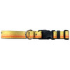 Wingo Belts Dog Collars