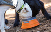 Ruffwear Flat Out Leash & Hoopie Collar Combo