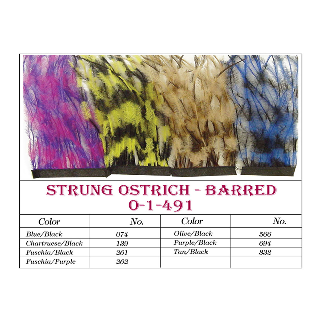 MFC Strung Barred Ostrich - view 2