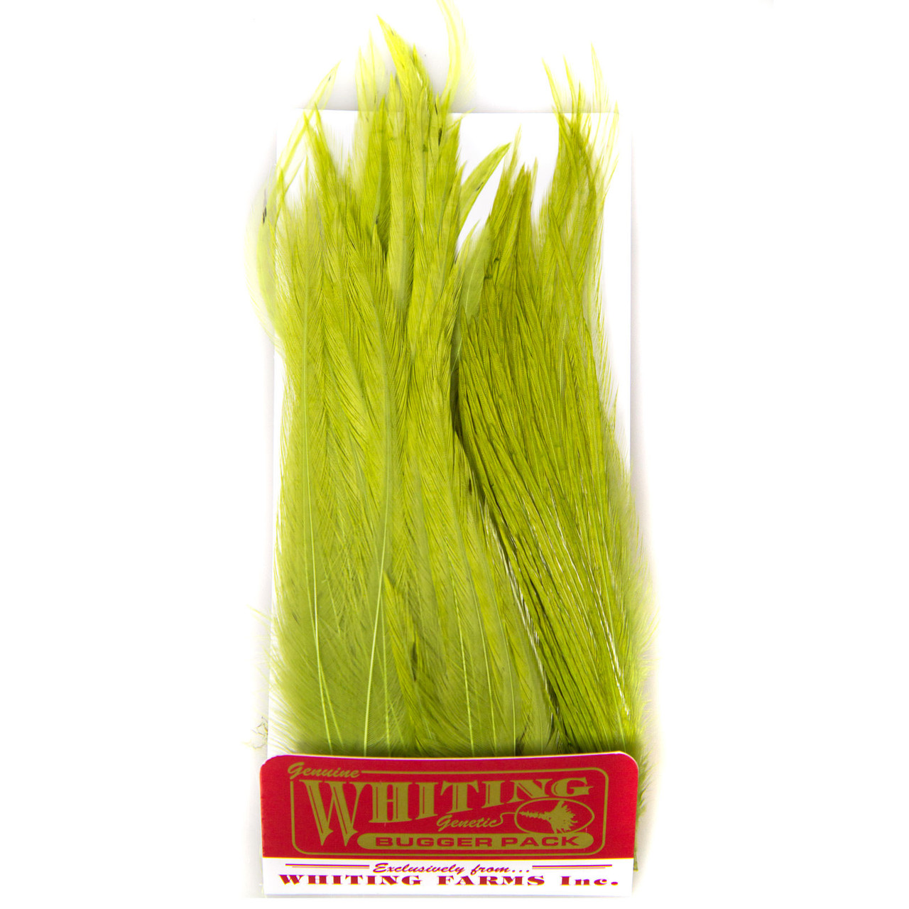 Whiting Farms Whiting Bugger Pack - AvidMax
