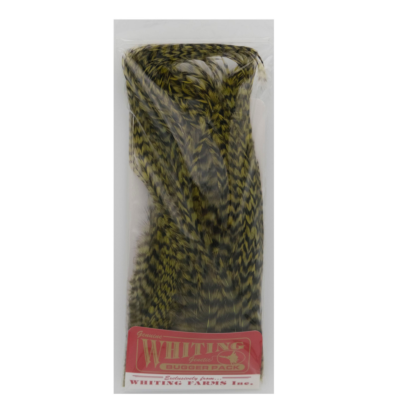 Whiting Farms Whiting Bugger Pack - AvidMax