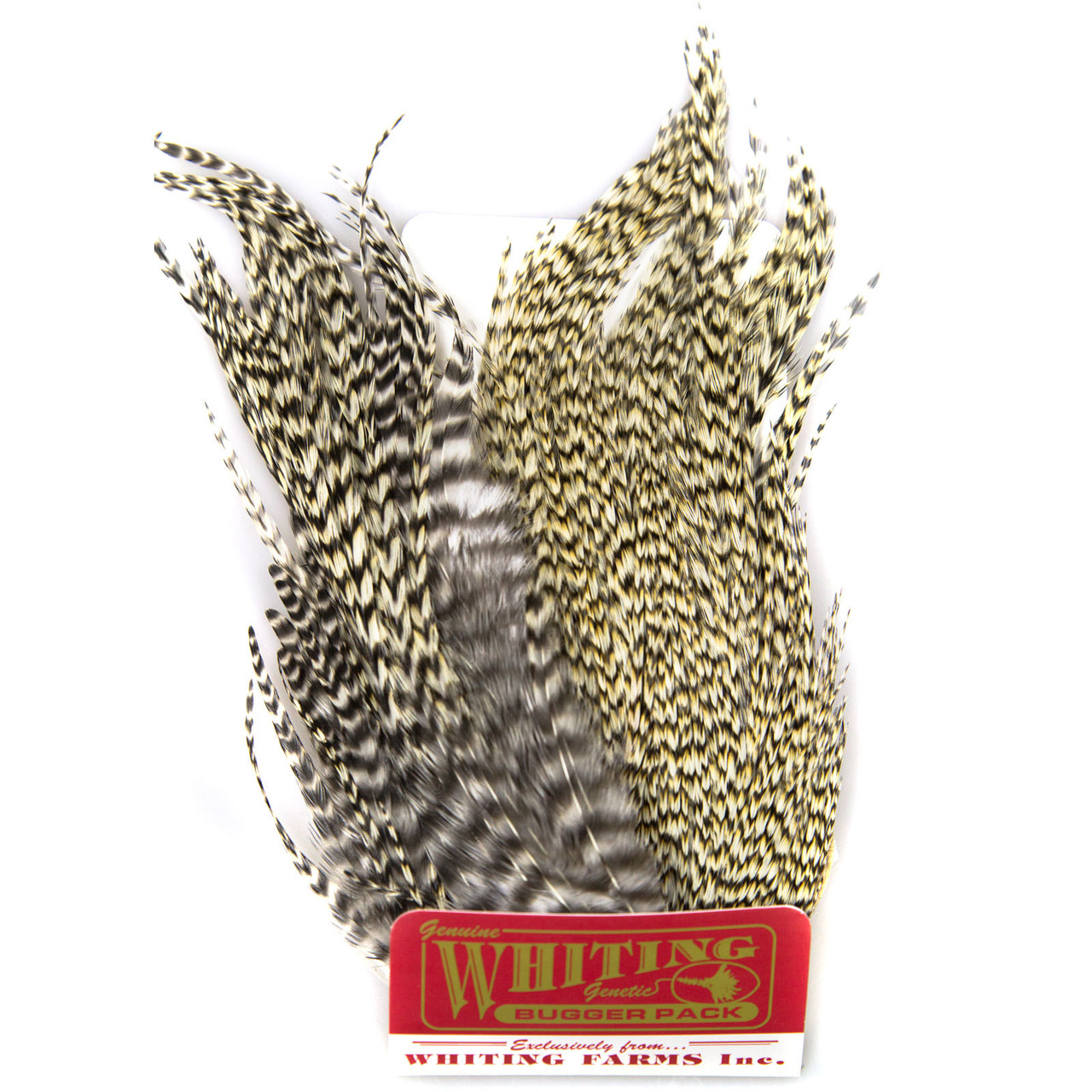 Whiting Farms Whiting Bugger Pack - AvidMax