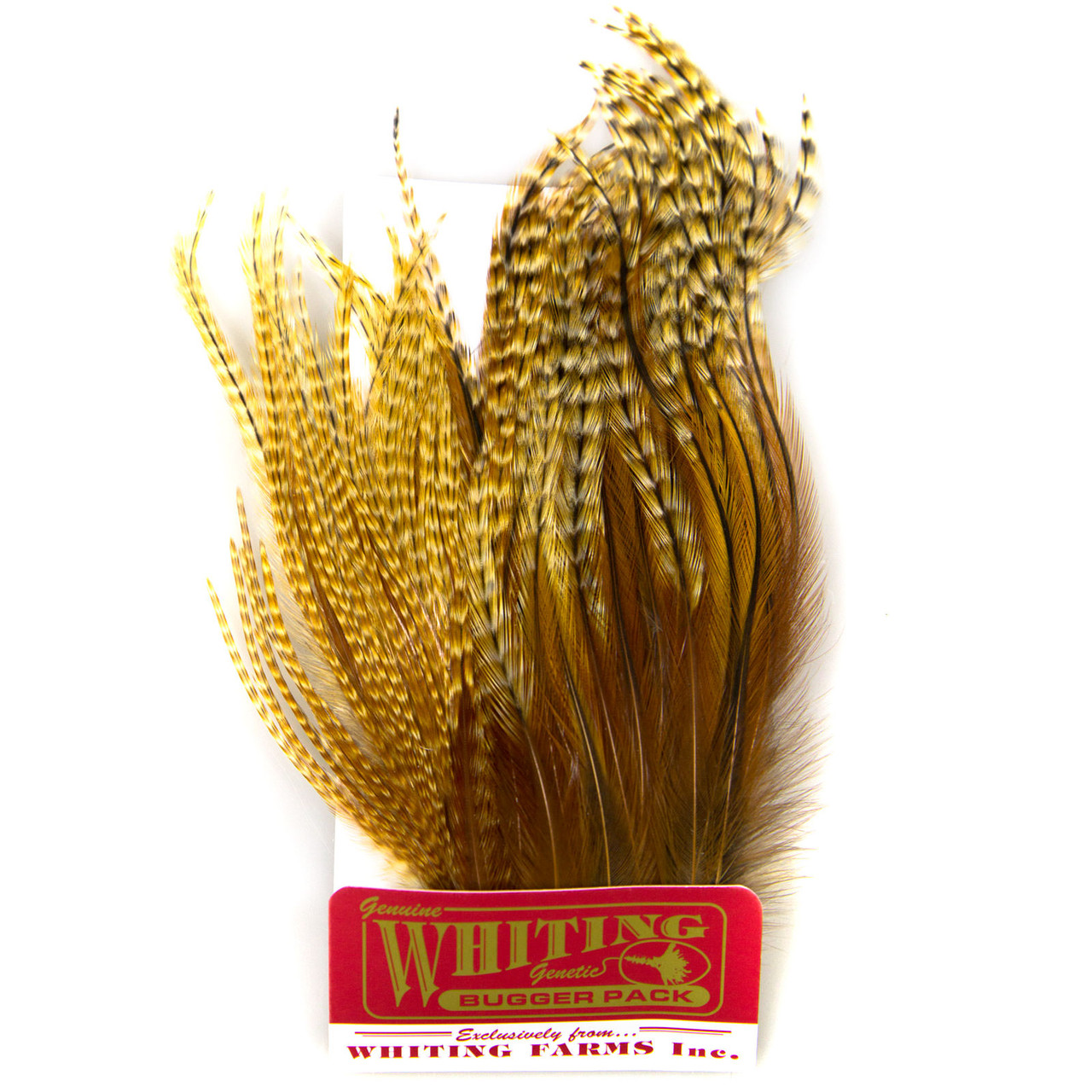 Whiting Farms Whiting Bugger Pack - AvidMax