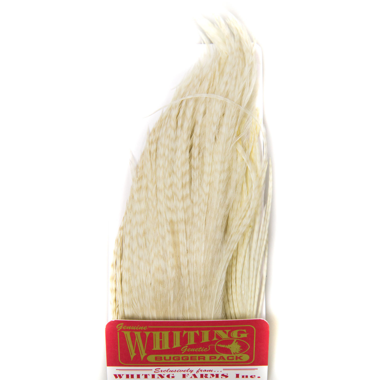 Whiting Farms Whiting Bugger Pack Barred Ghost White