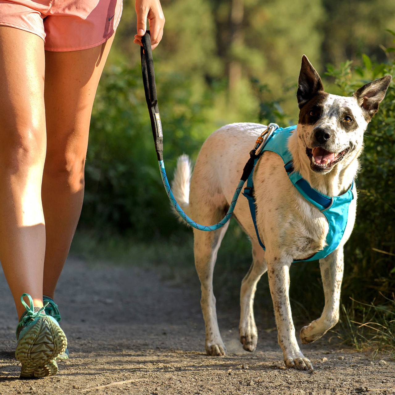Ruffwear Hi & Light Dog Harness - AvidMax