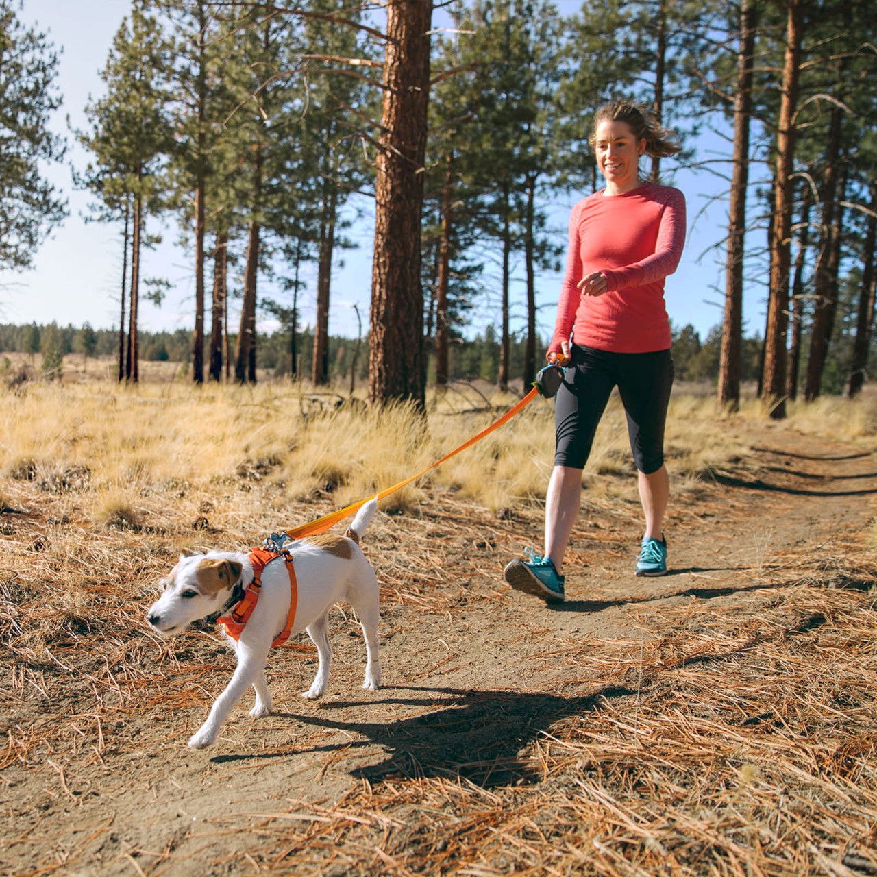 Ruffwear Hi & Light Dog Harness