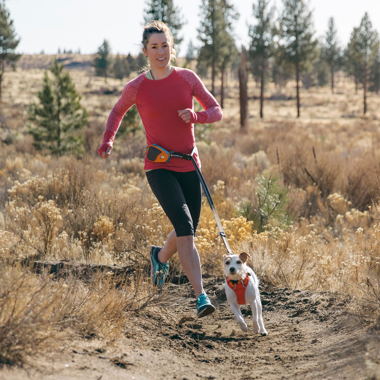 Ruffwear Hi & Light Dog Harness