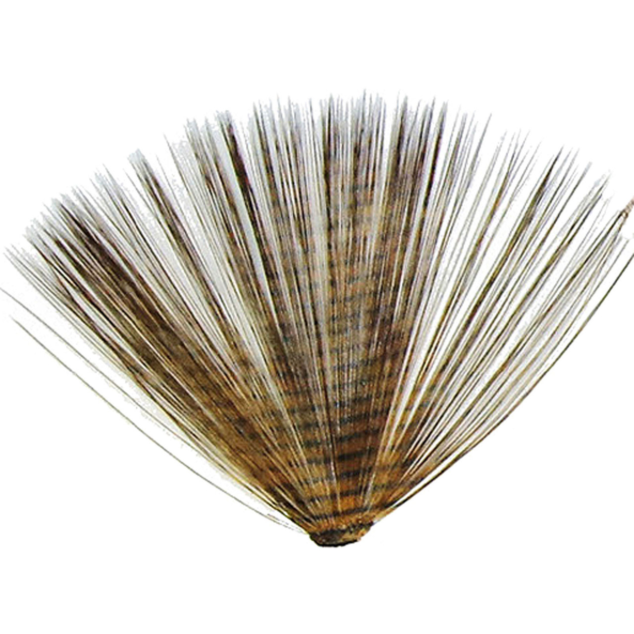 MFC Micro-Barred Fibbetts