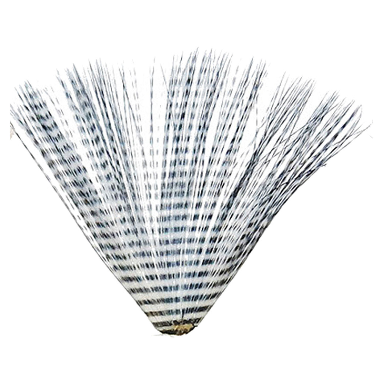 MFC Micro-Barred Fibbetts White/Black