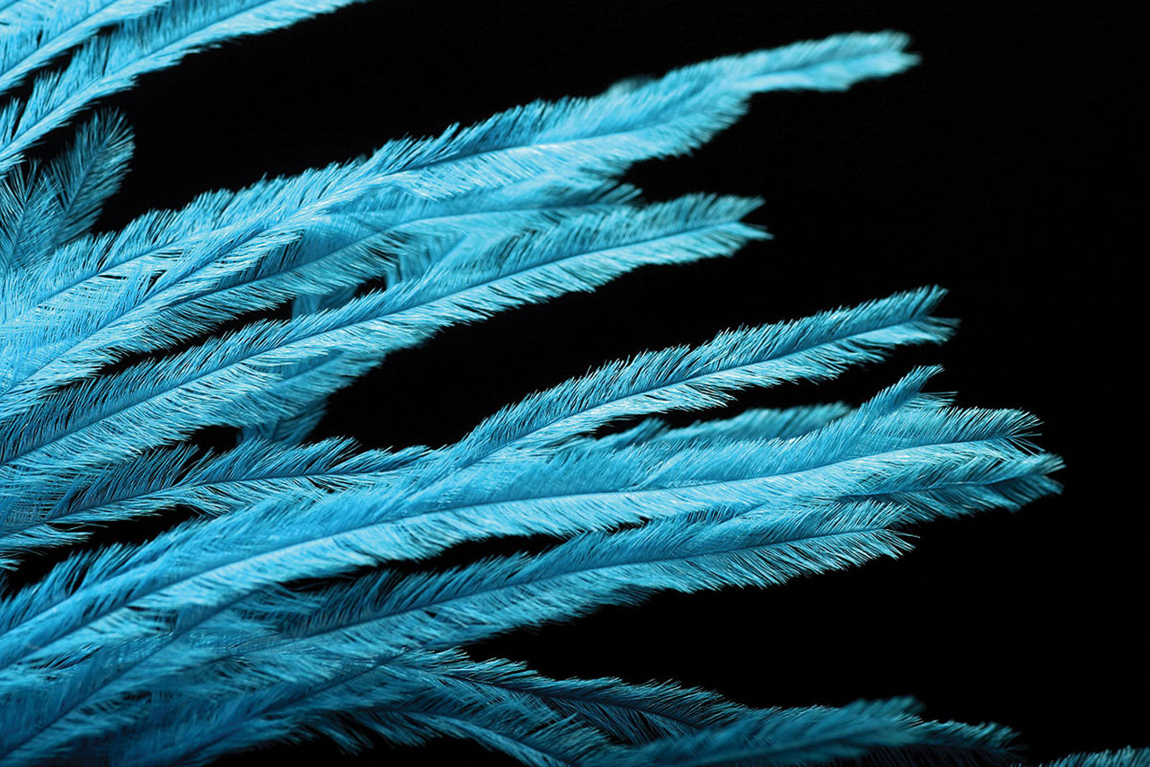 Hareline Ostrich Herl Hareline Ostrich Herl