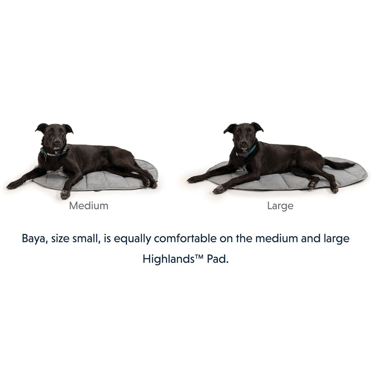 Ruffwear Highlands Pad