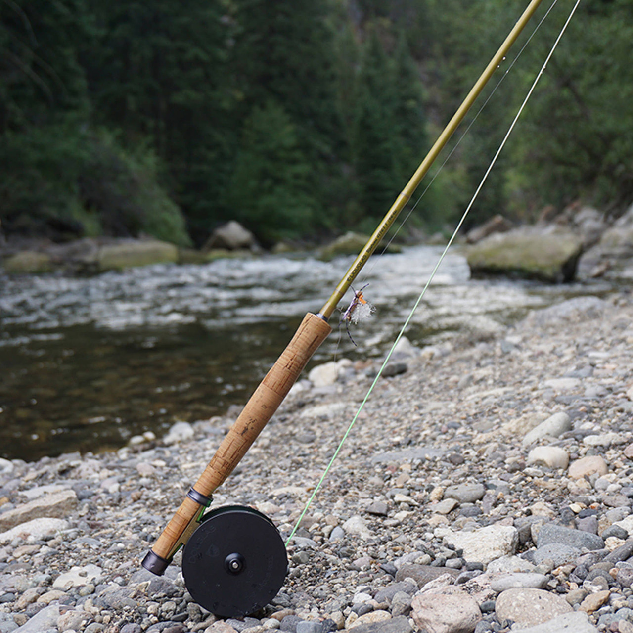 Douglas Upstream Fly Rod - AvidMax