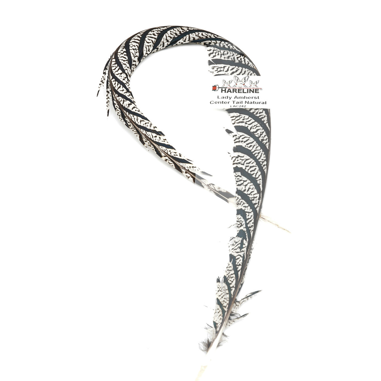 Hareline Lady Amherst Tail pc