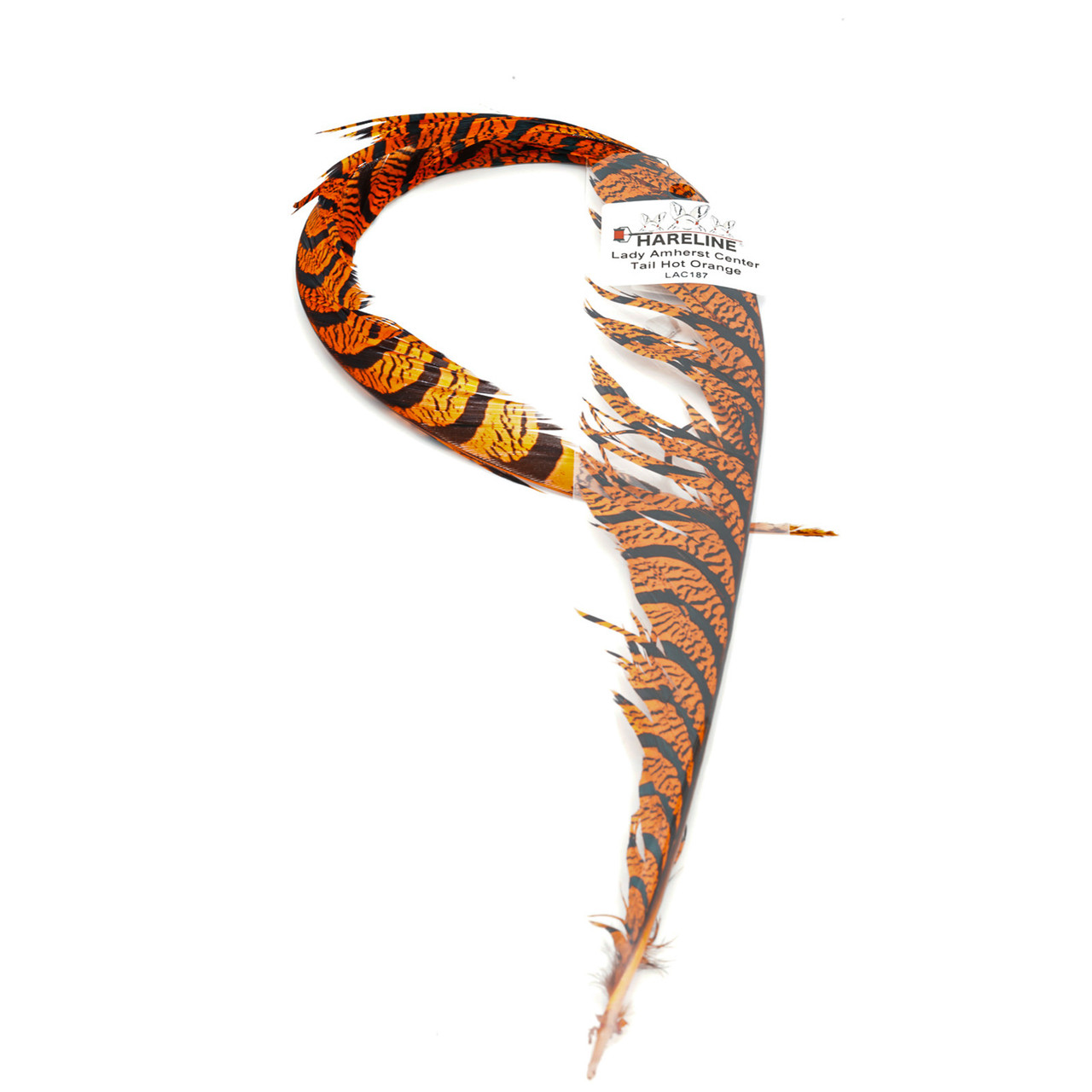 Hareline Lady Amherst Tail pc