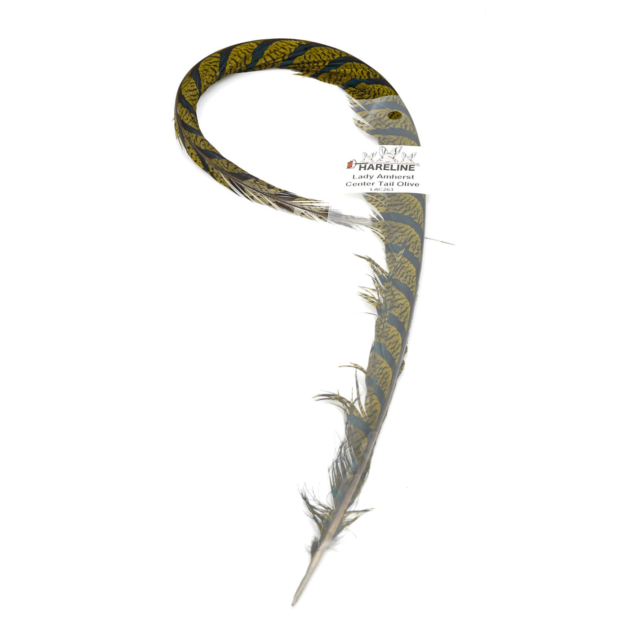 Hareline Lady Amherst Tail Piece #263 Olive