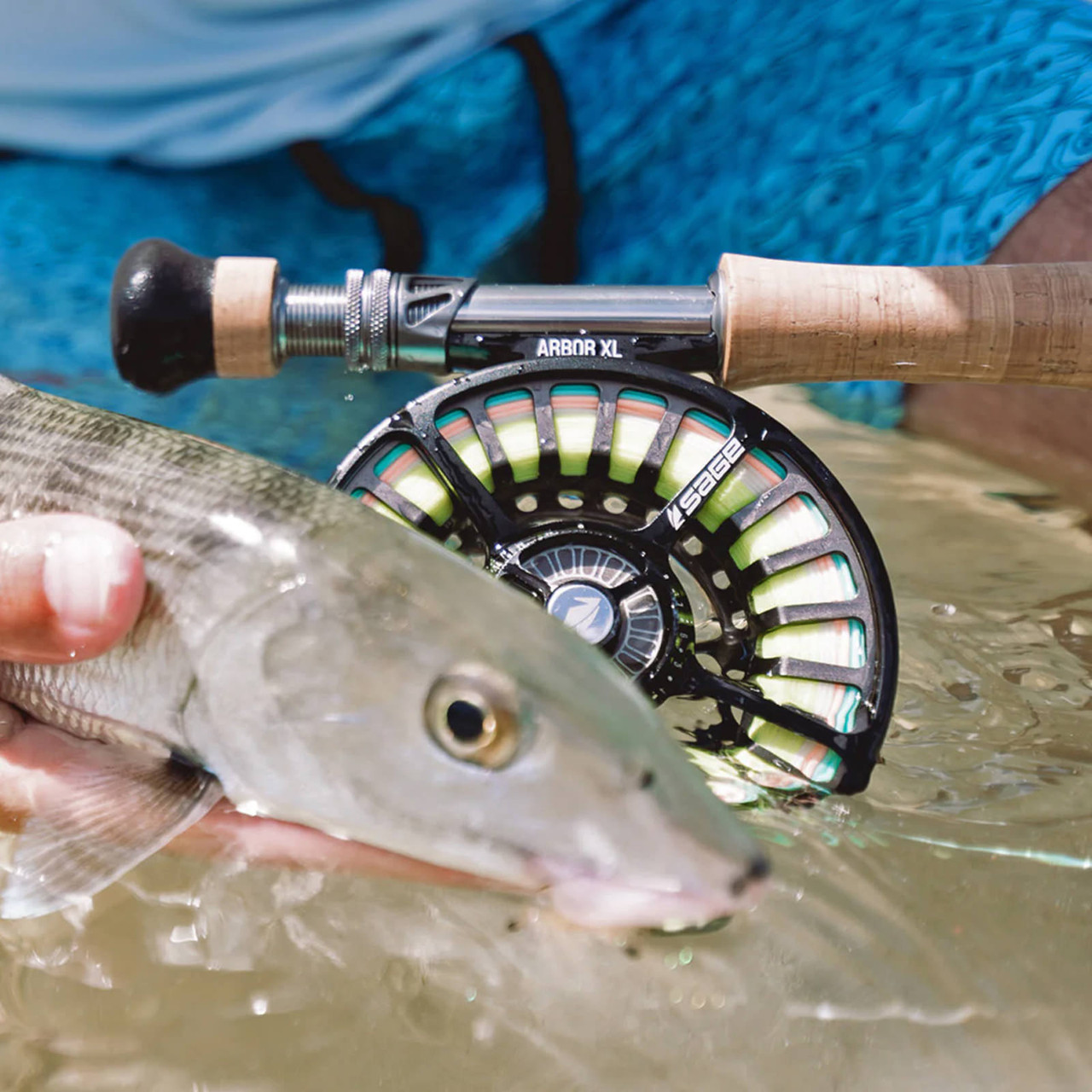 Sage Arbor XL Fly Reel