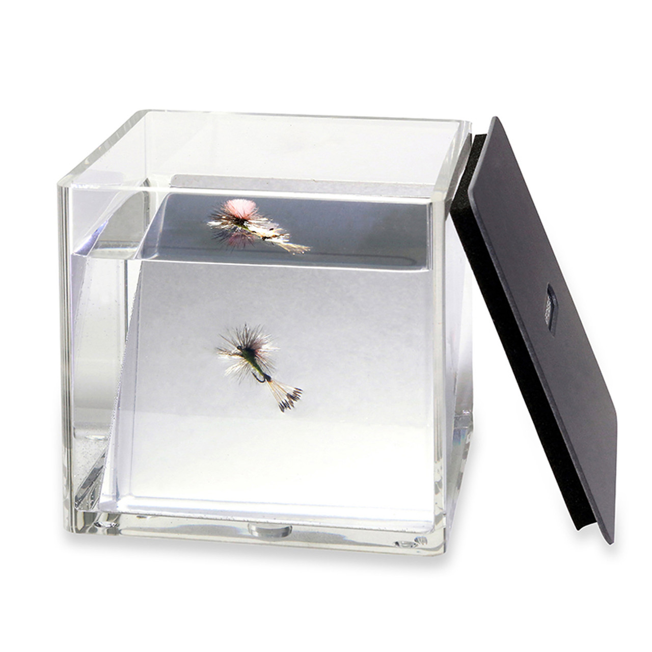 C&F Design CFT-12 Fish Eye