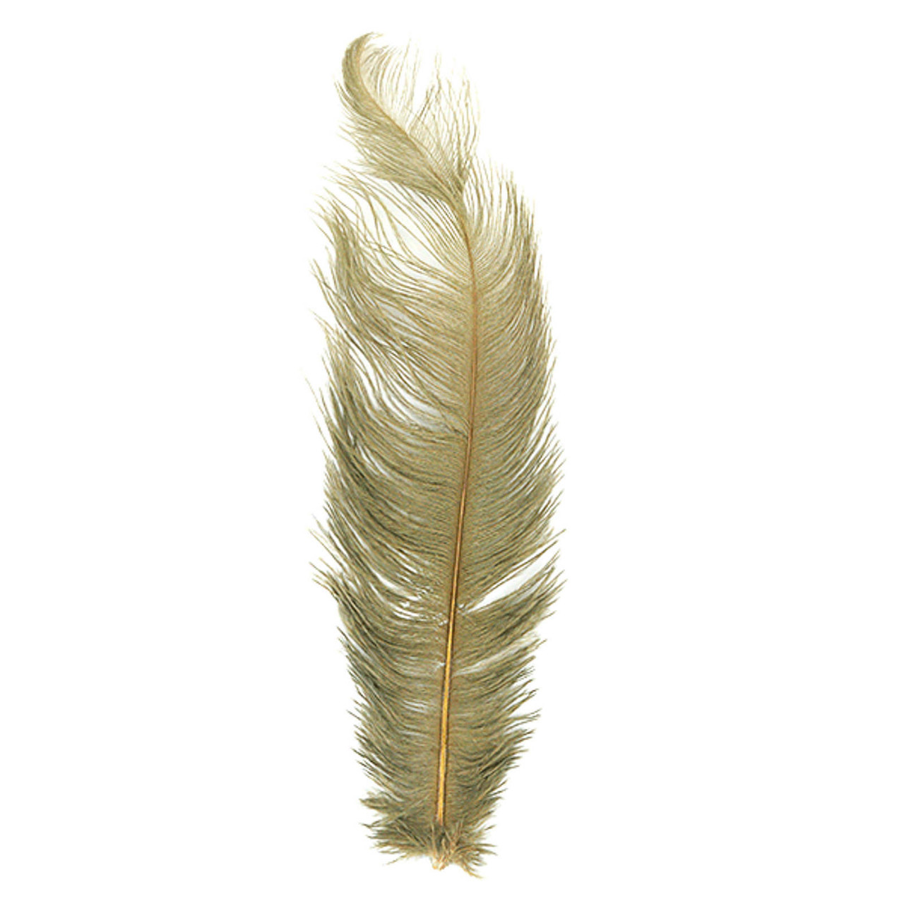 MFC Ostrich Plume