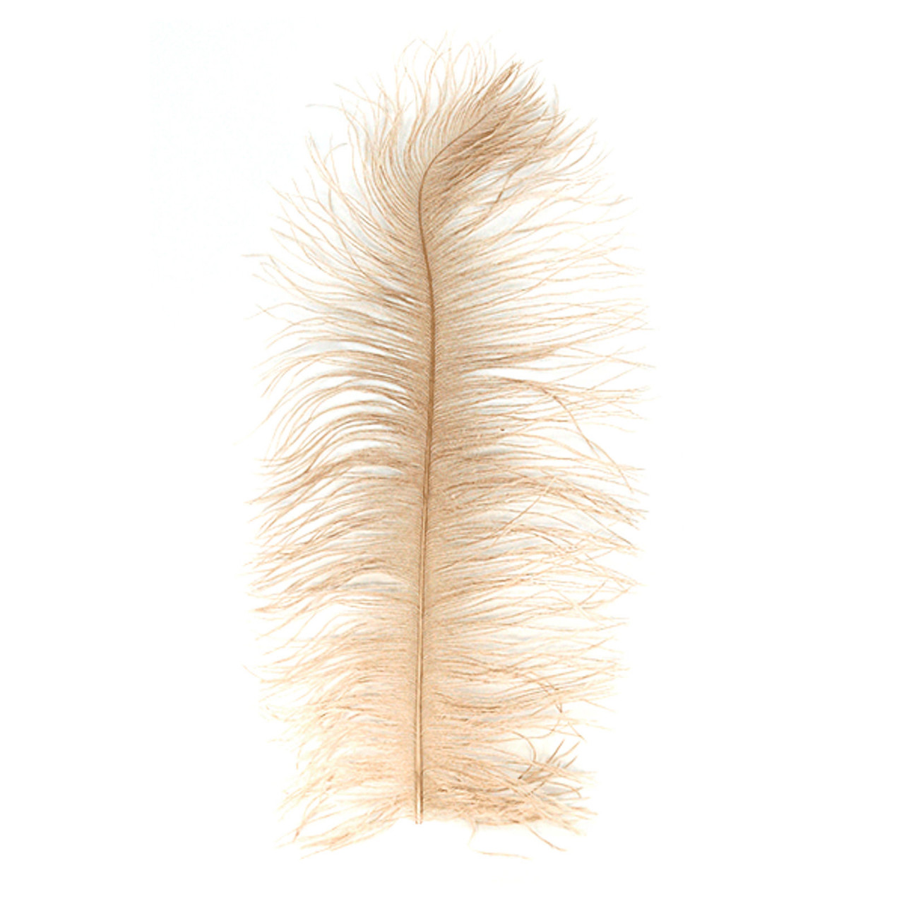 MFC Ostrich Plume