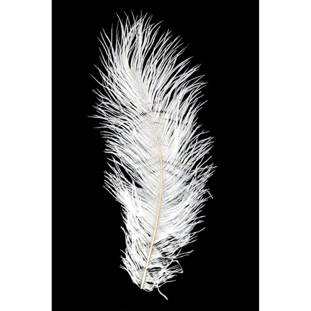 MFC Ostrich Plume White