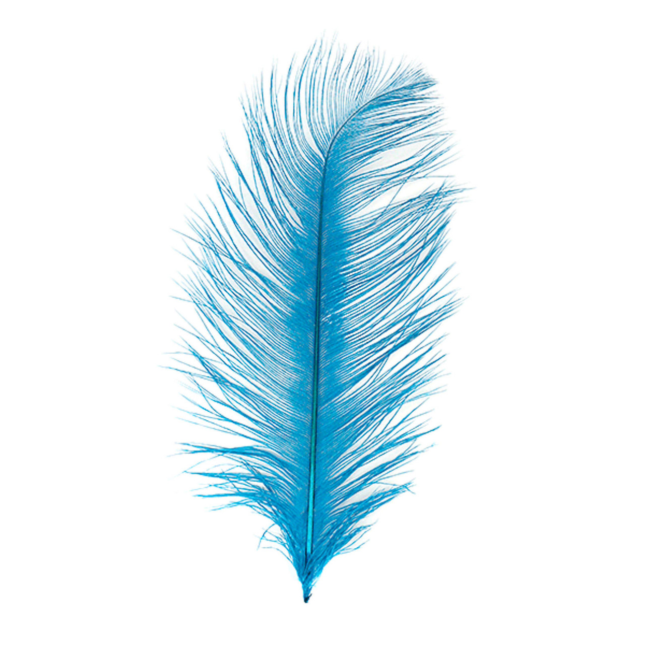 MFC Ostrich Plume Kingfisher Blue