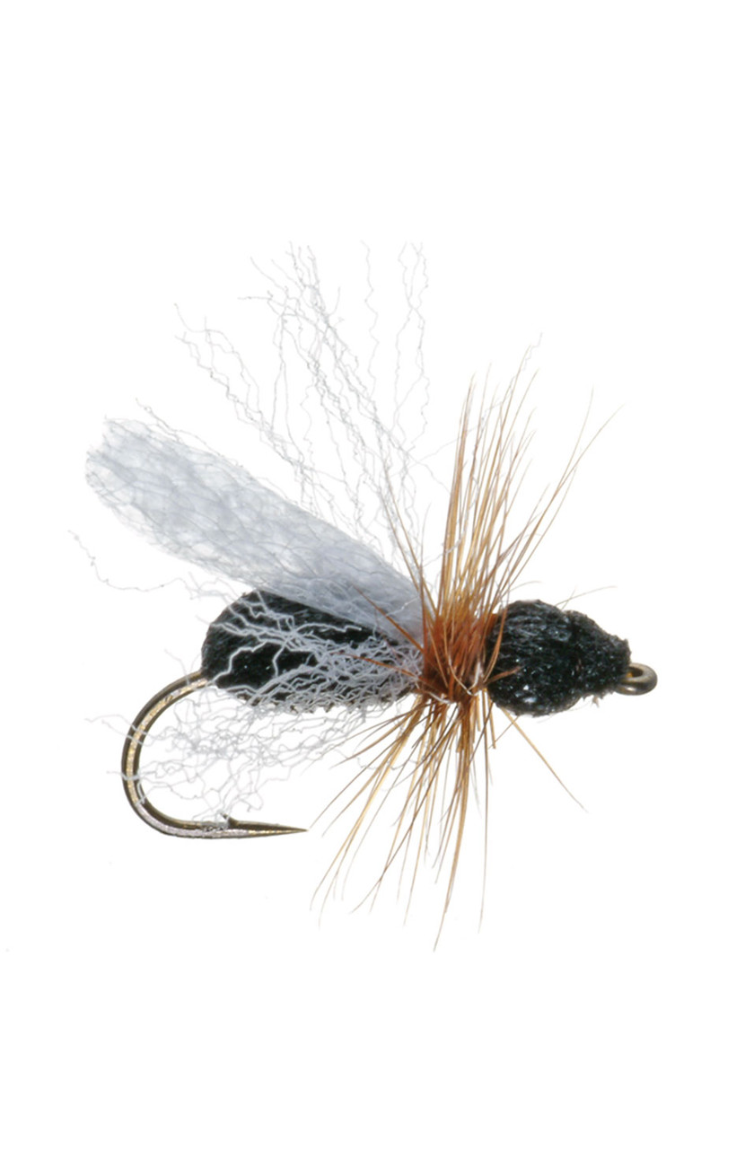 Umpqua Foam Flying Ant Black Terrestrials 2 Pack Dry Fly Fishing Flies