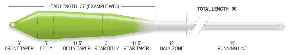 Airflo Ridge 2.0 Superflo Power Taper Floating Fly Line Taper Diagram