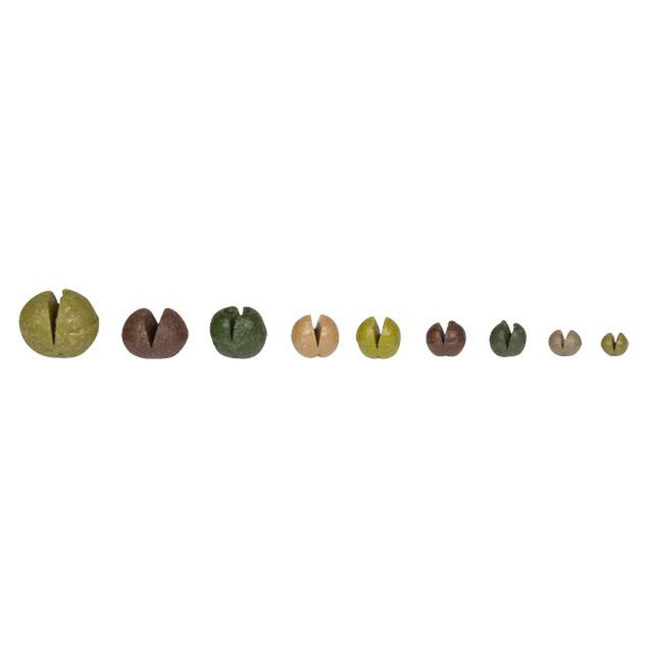 Loon Tin Weights 8 Division - view 1