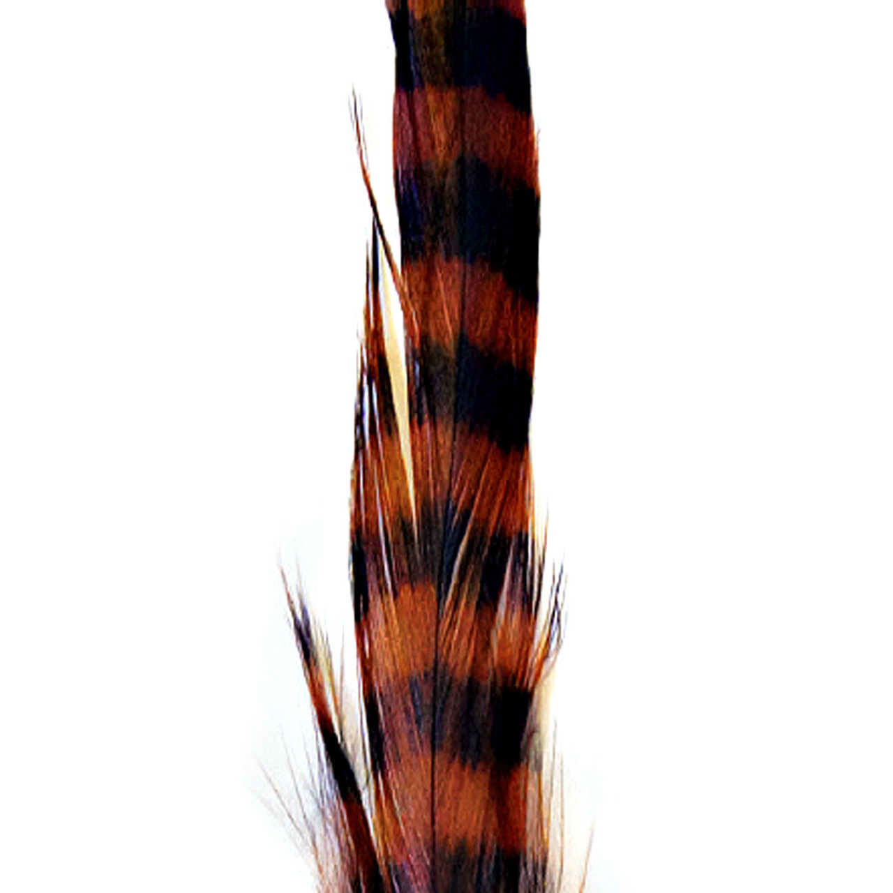 MFC Barred Schlappen Brown/Black