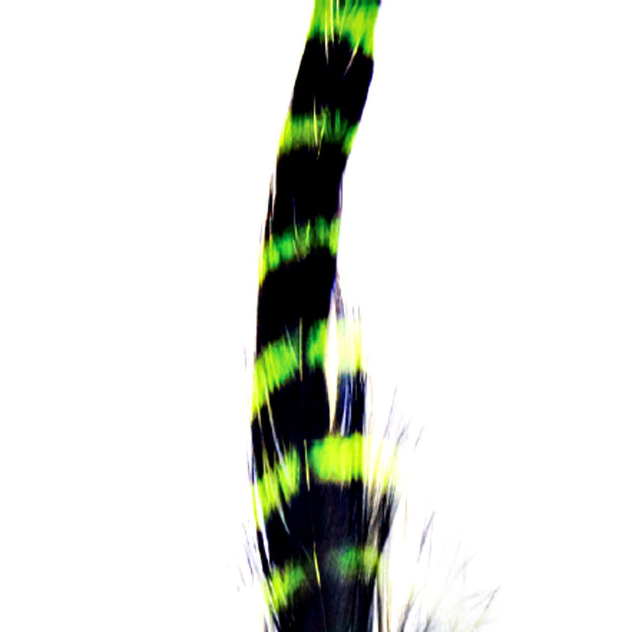 MFC Barred Schlappen