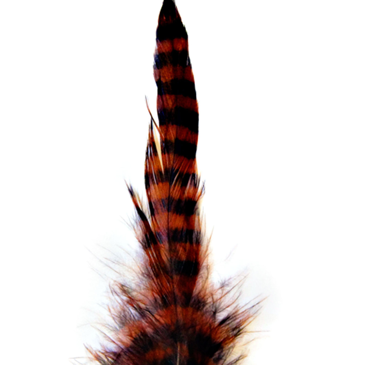 MFC Barred Schlappen Burnt Orange/Black