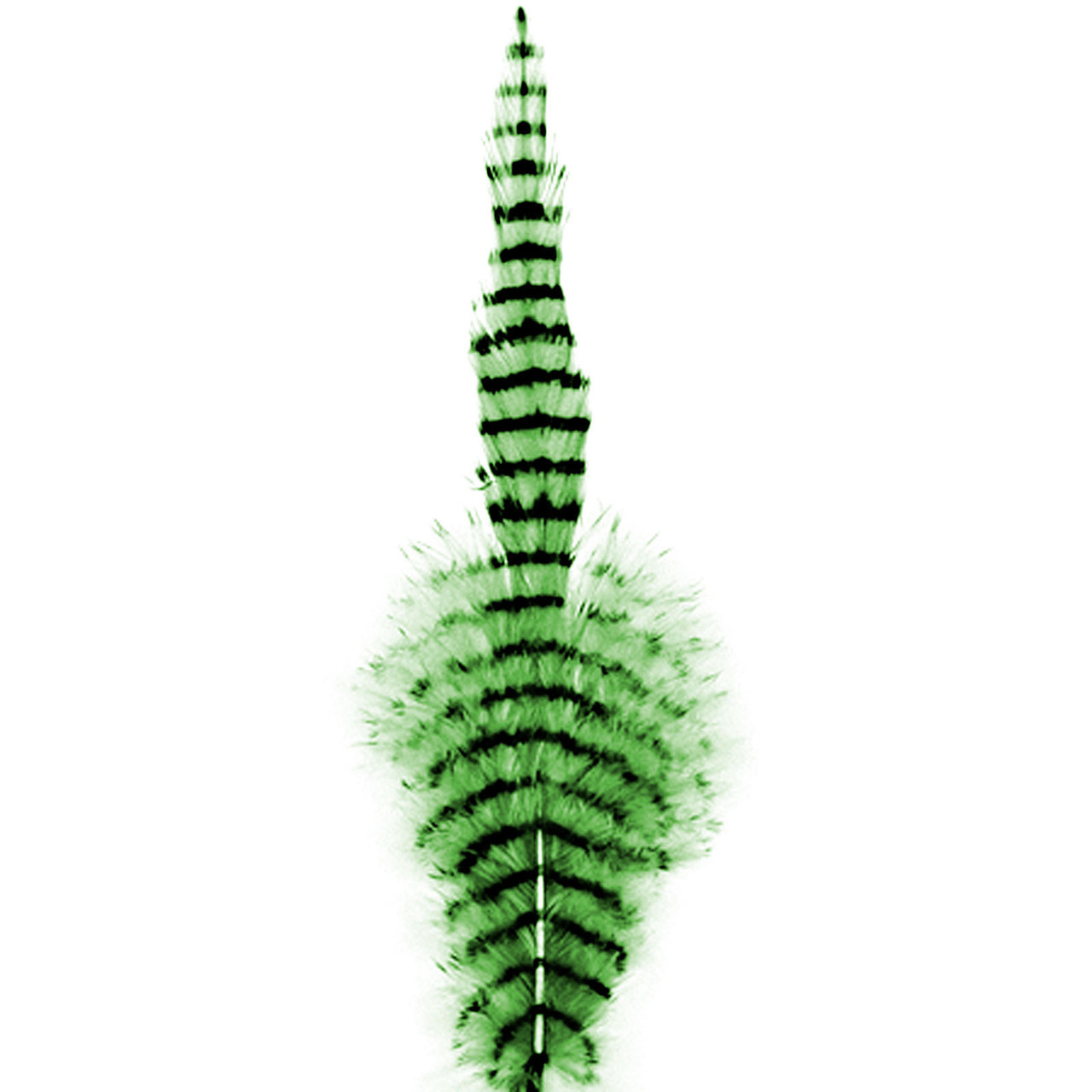 MFC Barred Saddle Hackle Chartreuse/Black