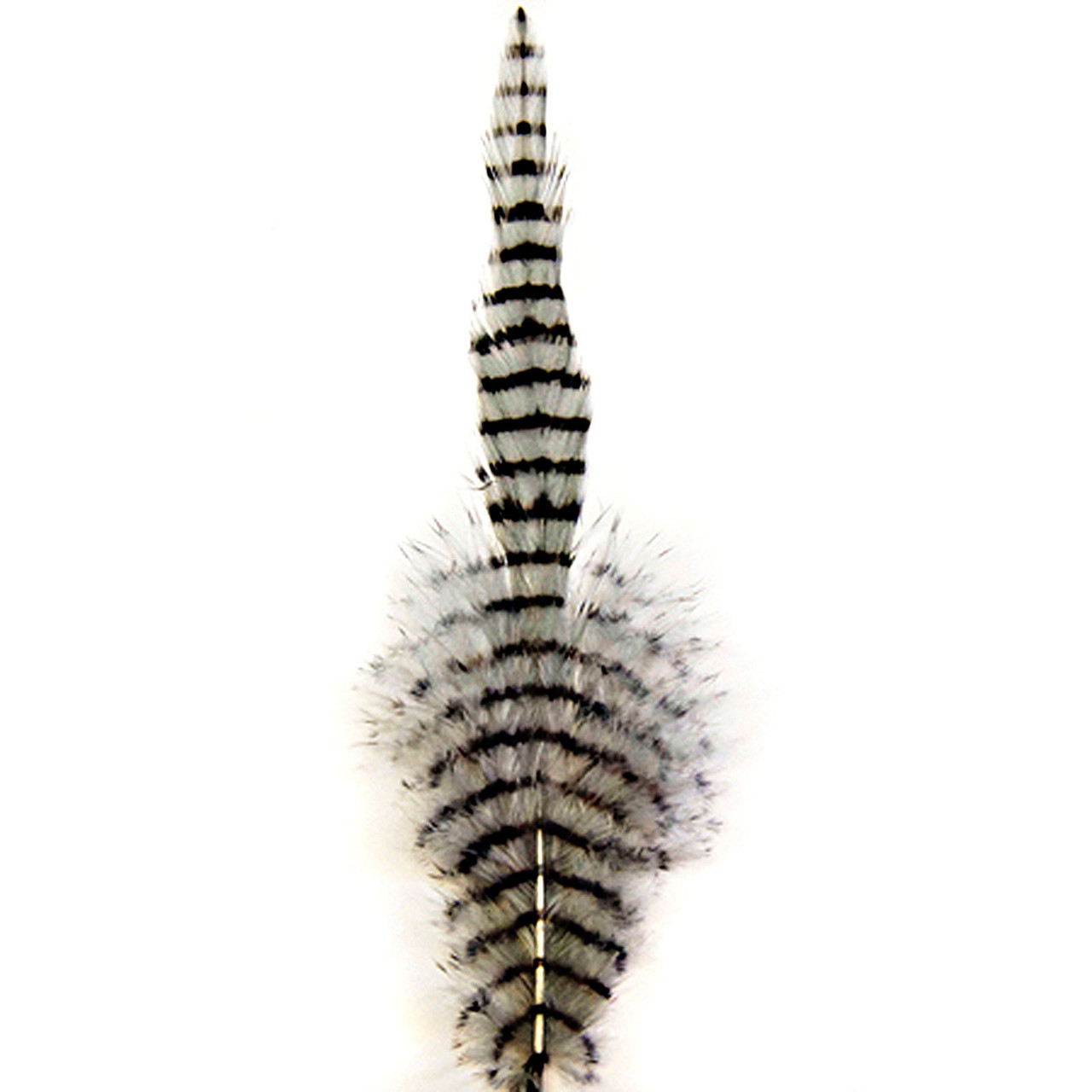MFC Barred Saddle Hackle