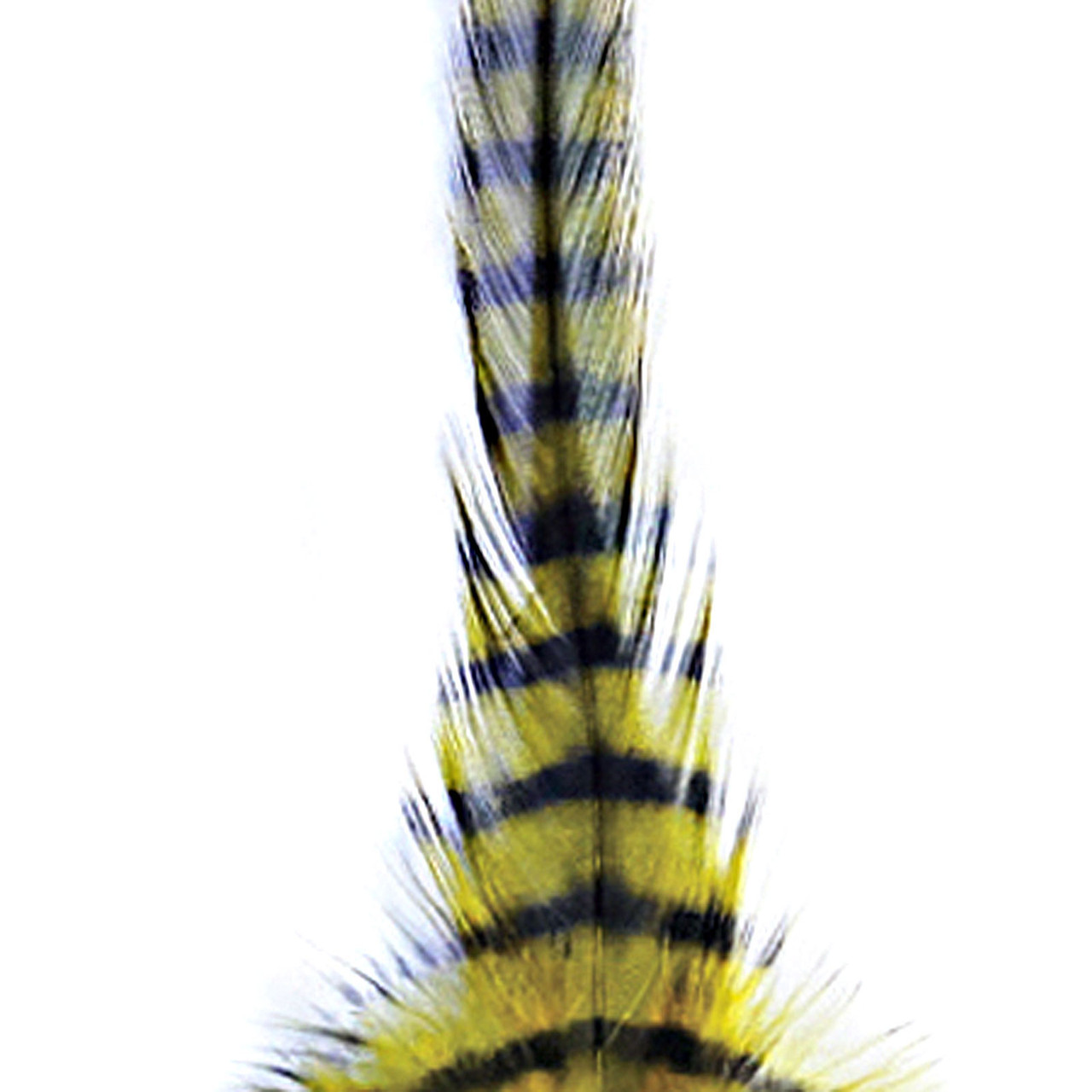 MFC Barred Saddle Hackle Olive/Black
