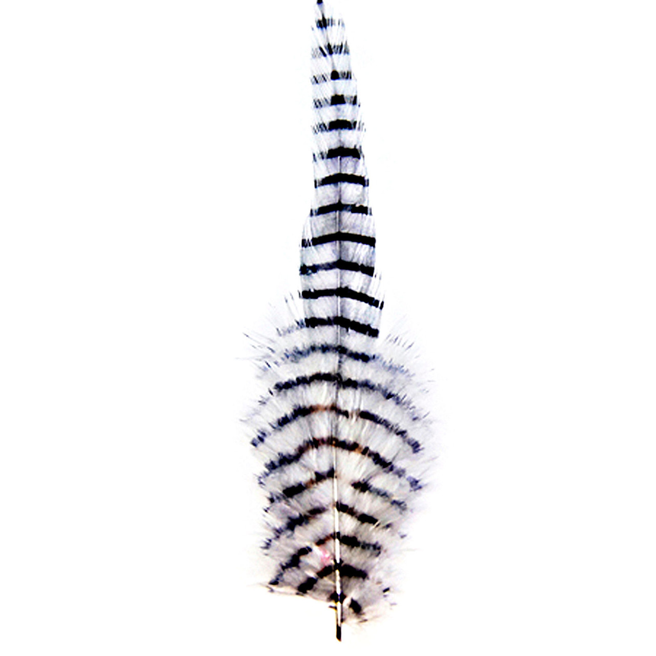 MFC Barred Saddle Hackle