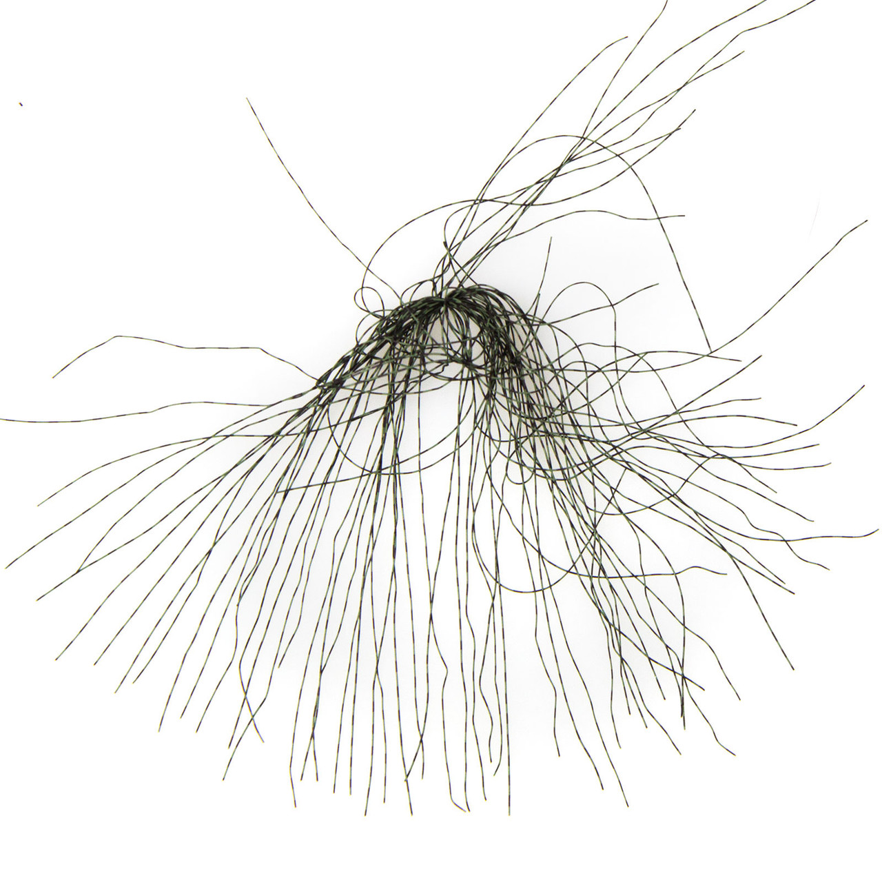 MFC Speckled Centipede Legs Sizes