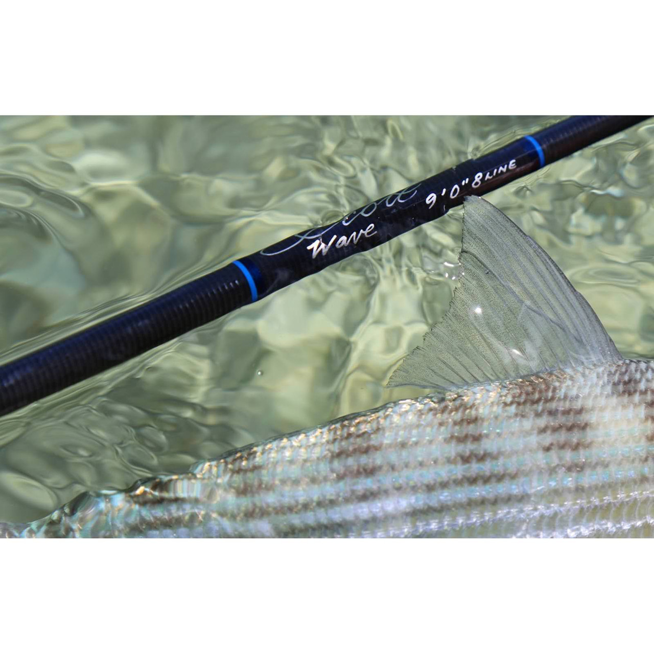 Scott Wave fly rod held over a fish in the water