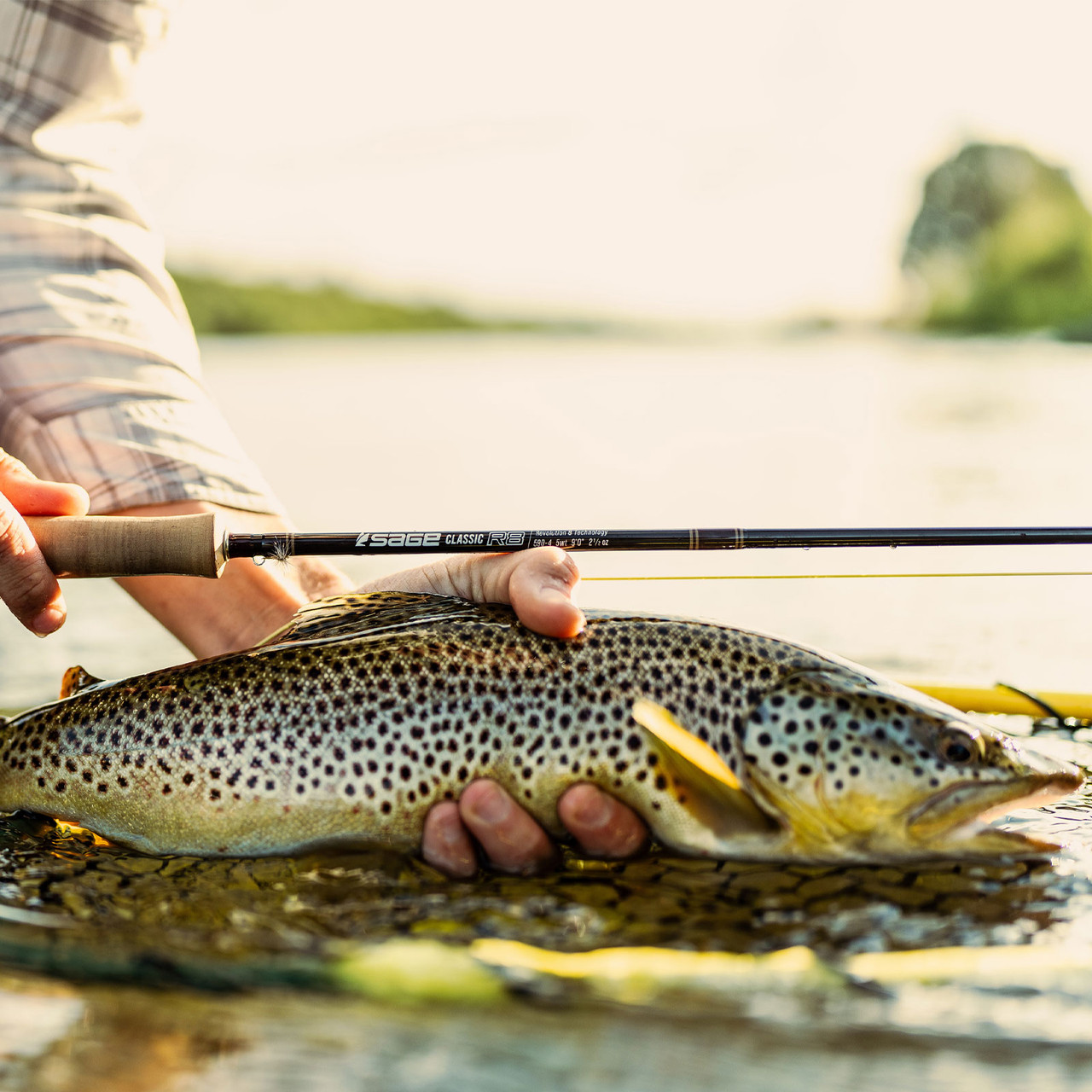 Sage CLASSIC R8 Fly Rod