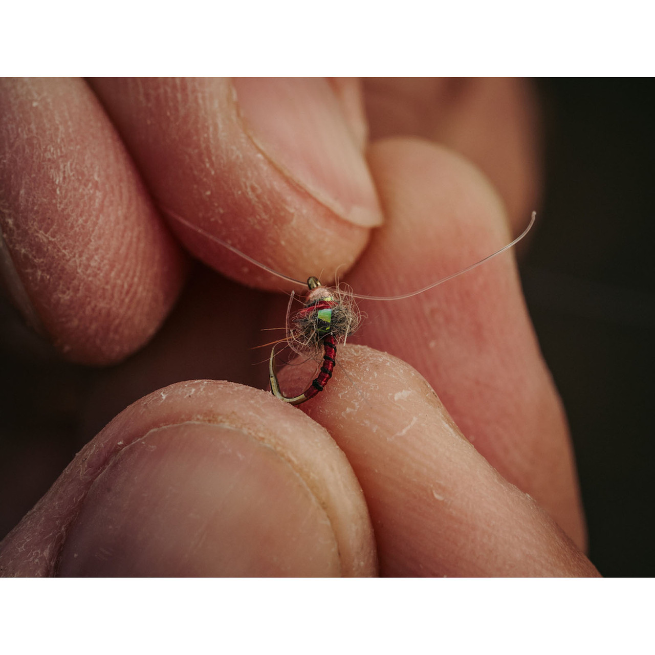 Tiemco TMC 2499 SP-BL Short Shank Heavy Wire Barbless Nymph Hook