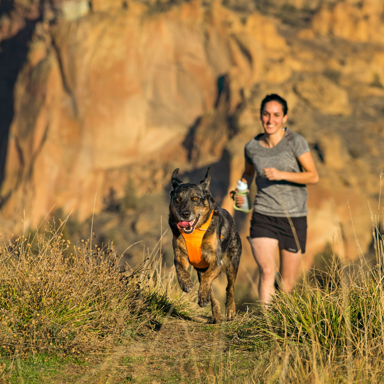 Ruffwear Front Range Adjustable Padded Dog Harness w/Reflective Trim-All Options