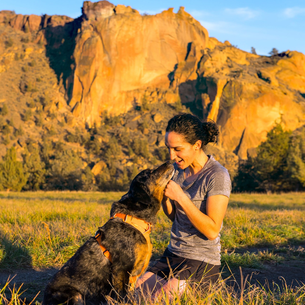 Ruffwear Front Range Dog Harness