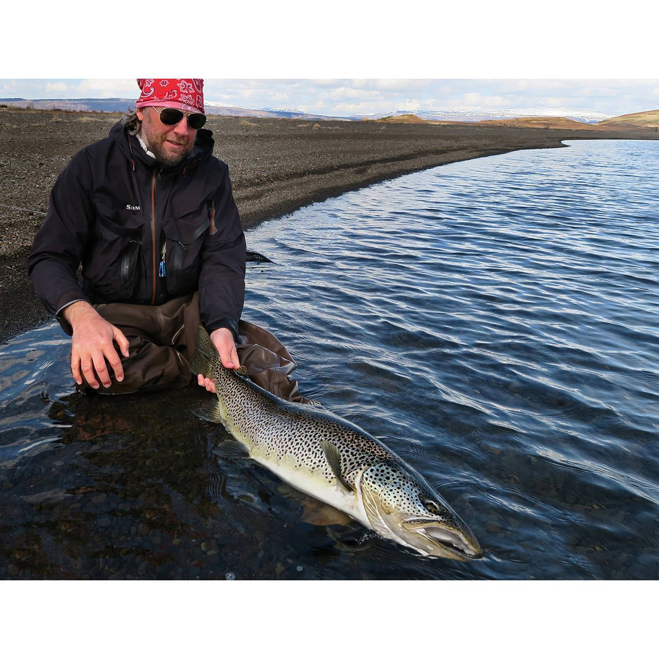 Scott Centric Fly Rod