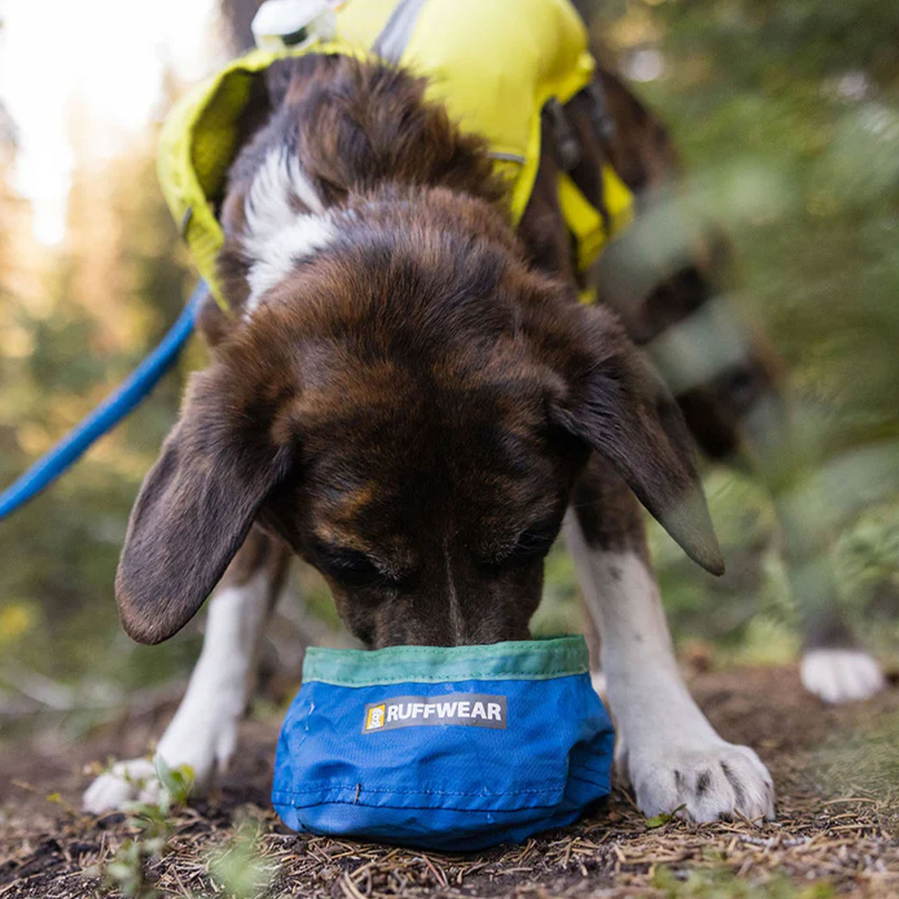 Ruffwear Trail Runner Dog Bowl